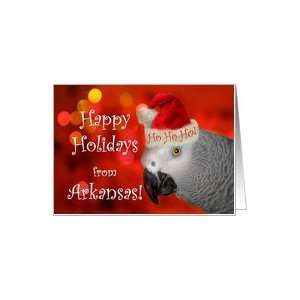  Happy Holidays from Arkansas, African Grey Parrot with 