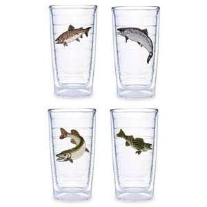 Tervis Tumbler FWF S 16 Fresh Water Fish Assorted 16 oz. Tumbler in 