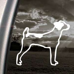  Jack Russell Dog Decal Car Truck Window Sticker 