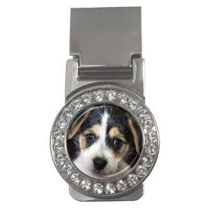  Jack Russell Puppy Dog Money Clip CZ W0702 Everything 