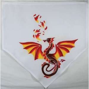  Fire Dragon Flag