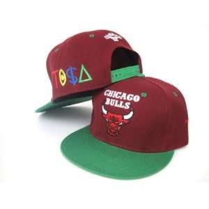  TISA Chicago Bulls TI$A Snapback Hat Red Green: Sports 