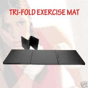    Fold Exercise Mat (Best selling in fitness store): Sports & Outdoors