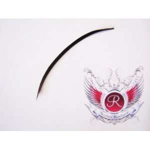 Riot Grrrl Hair Extension Feather (Brown)