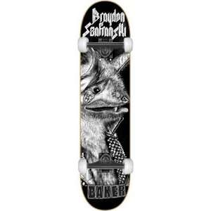   Payback Complete Skateboard   7.88 w/Thunder Trucks: Sports & Outdoors