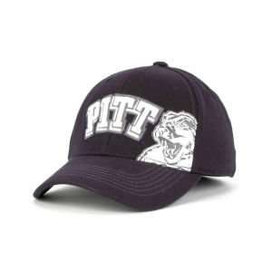   Panthers Top of the World NCAA Big Ego Cap Hat: Sports & Outdoors