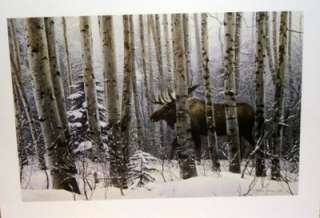 LYMAN A WALK IN THE WOODS Moose print  12 x 8  