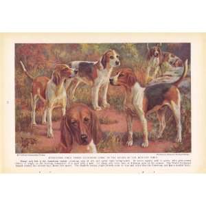  1937 Foxhound Hunging Dogs Edward Herbert Miner Vintage 