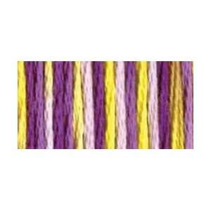 DMC Color Variations Six Strand Embroidery Floss 8.7 Yards Purple 