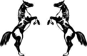 Rearing Pinto/Paint Horse Graphic,Sticker,Decal  