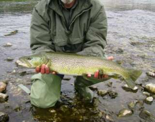 Massimo with his Italian Marble Trout caught on 4 Bass Harasser
