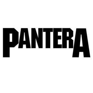  PANTERA BAND WHITE LOGO VINYL DECAL STICKER: Everything 