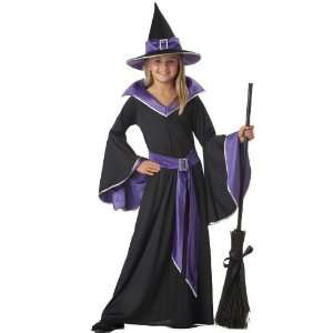  By California Costumes Incantasia The Glamour Witch Child Costume 
