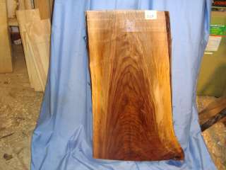 black walnut live edge slab 32 17/32 long, 21 1/2  wide  