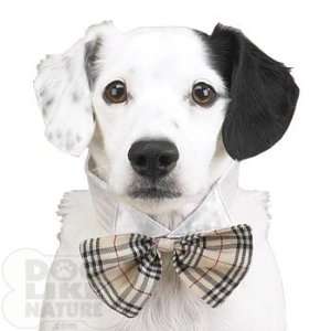  London Plaid Bow Tie Collar   Large: Kitchen & Dining