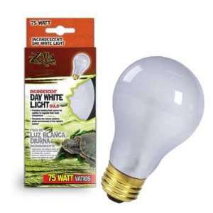  Day Bulb White Light 75 Watt Boxed: Home Improvement