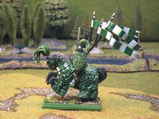 Warhammer DPS painted Bretonnia Green Knight BR004  