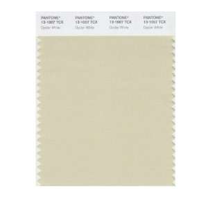 PANTONE SMART 13 1007X Color Swatch Card, Oyster White:  