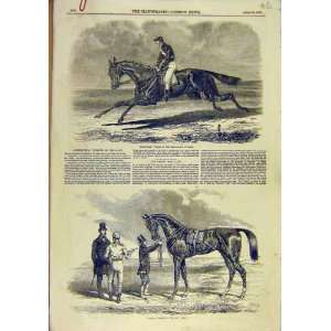  Rhedycina Race Horse Epsom Wanota Ascot Vase Cup 1850 