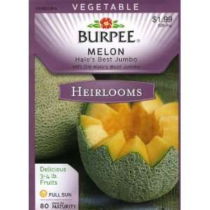 Burpee 51623 Heirloom Melon Hales Best Jumbo Seed Packet 
