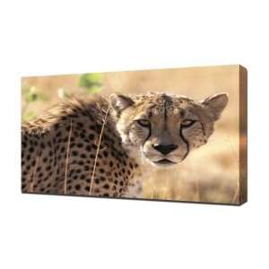  Leopard 2   Canvas Art   Framed Size 20x30   Ready To 