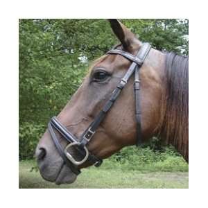  Stubben Snaffle Bridle with Padded Crown: Sports 