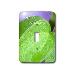 Patricia Sanders Flowers   Life is Inspiration   Light Switch Covers 