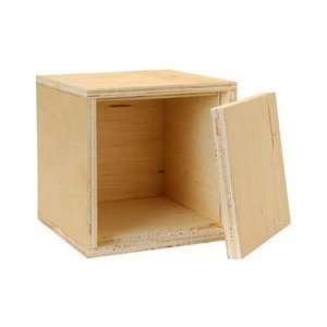    Knock Down Birch 0.04 ft³ Satellite 5 Cube Cabinet: Electronics