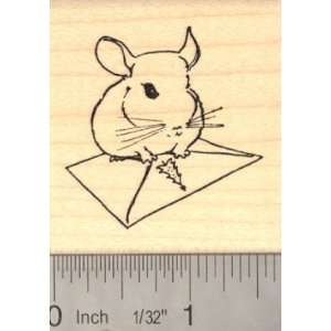    Chinchilla Christmas Card Rubber Stamp Arts, Crafts & Sewing