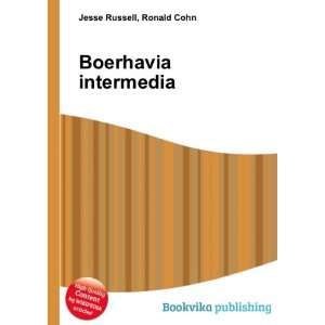  Boerhavia intermedia: Ronald Cohn Jesse Russell: Books