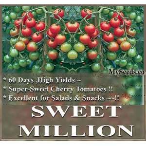  15 Sweet Million TUMBLING Cherry Tomato seeds ~PRODUCTIVE 