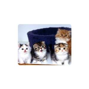  Brand New Cat Mouse Pad Kittens: Everything Else
