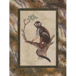  Squirrel Monkey, Canvas Transfer by Janet Kruskamp, 12x16 