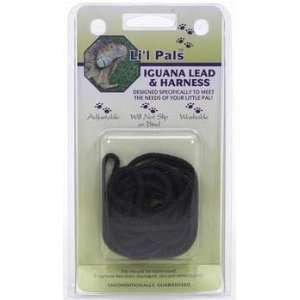  C Nyl Iguana Harness Lead   Black (Catalog Category Small 