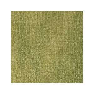  Solid Order As D14604 Apple Green by Duralee Fabric Arts 