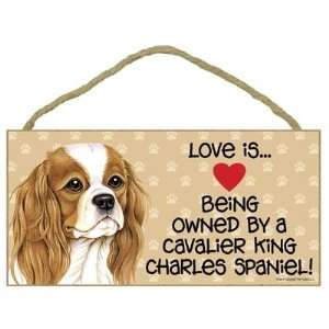  Love is . Being Owned by Cavalier King Charles Spaniel 