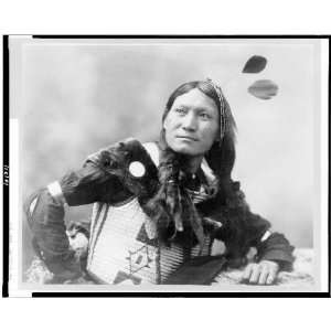   dress,clothing,Dakota Indians,Great Plains,c1899
