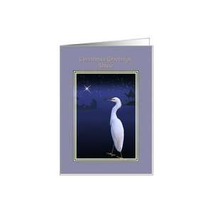  Christmas, Uncle, Religious, Nativity, Egret Card Health 