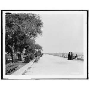  Fort Sumpter i.e. Sumter from the battery,Charleston,S.C 
