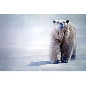   Terry Isaac   Face Off Polar Bear Showstopper Canvas