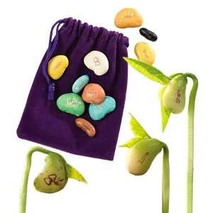   Magic Beans with Velvet Pouch Kit, Set of 10, in Friendship Toys