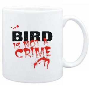   White  Being a  Bird is not a crime  Animals