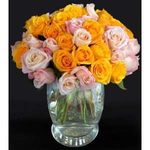 Send Fresh Cut Flowers   50 Long Stem Assorted Roses  
