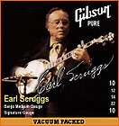 Gibson Earl Scruggs Banjo Custom truss rod Cover  