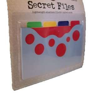  Secret Files Primary Circles: Arts, Crafts & Sewing
