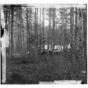  Civil War Reprint Culpeper, Virginia. Camp in the woods 