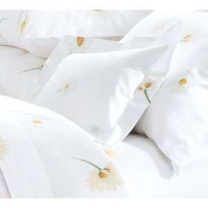    Cotton Percale Decorative Pillow Cover, Daisies