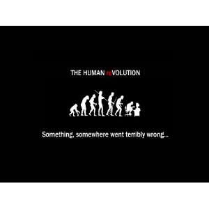    Evolution Humor 8x10 Iron on T Shirt Transfer: Everything Else