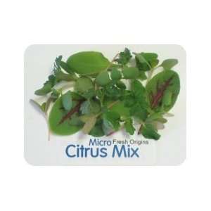 Micro Greens   Citrus Mix   4 x 8 oz  Grocery & Gourmet 