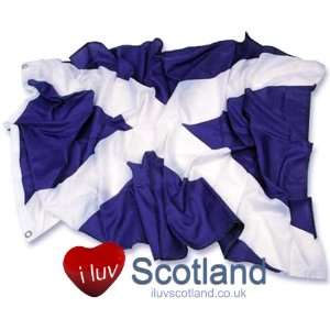  Large Flag Saltire: Toys & Games